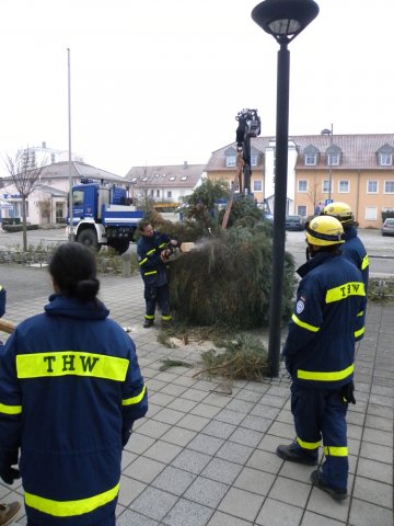 Christbaumaufstellen 2016 11